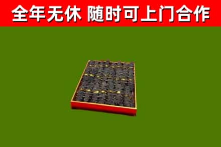 北塔区回收海参